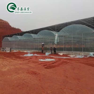 Container usado Tomate Estufas PE Material Sistema de ventilação opcional
