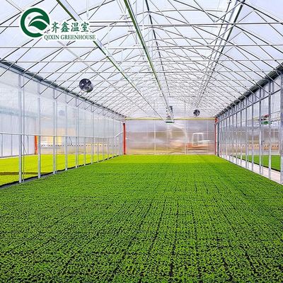 Estufa de folha de policarbonato multi-espansão comercial de PO de camada única para agricultura