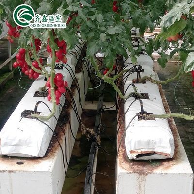 PO Torre Jardim para Vegetais Frutas Flores Estufa Agrícola Económica