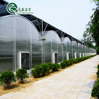 Tenda completa de cultivo hidropónico para o cultivo de vegetais, frutas, flores e tomates em ambientes internos