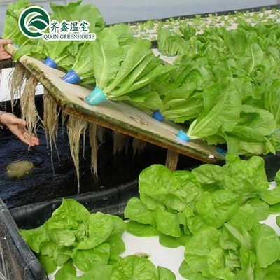 PO Torre Jardim para Vegetais Frutas Flores Estufa Agrícola Económica