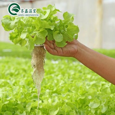 PO Torre Jardim para Vegetais Frutas Flores Estufa Agrícola Económica