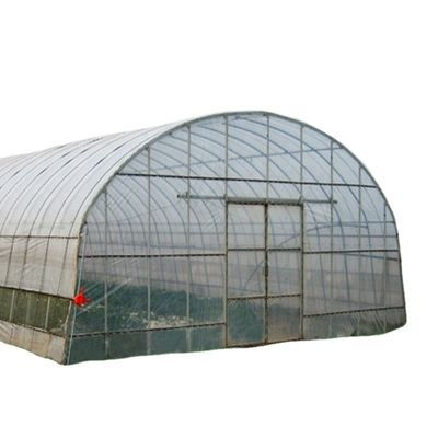 Vegetais Frutas Flores Cogumelos Casa para o cultivo ecológico