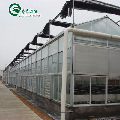 Estufas multi-span Venlo Melhorar a agricultura com sistema de sombreamento interno e externo