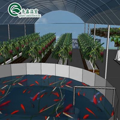 Jardim de torre de camada única para Aduaponics Estufas agrícolas acessíveis