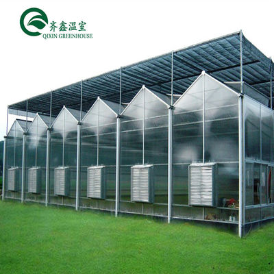 Estufas multi-span Venlo Melhorar a agricultura com sistema de sombreamento interno e externo