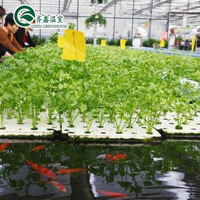 Vegetais Frutas Flores Sistema aquapônico Estufas agrícolas