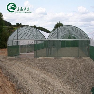 Estufas agrícolas de uma única faixa com cobertura de filme O ambiente perfeito de crescimento