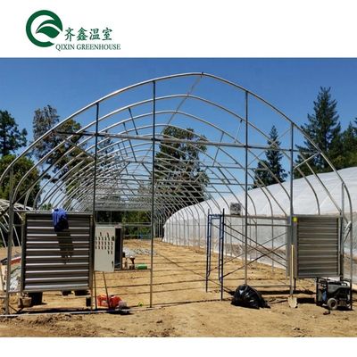 Estufas agrícolas de uma única faixa com cobertura de filme O ambiente perfeito de crescimento
