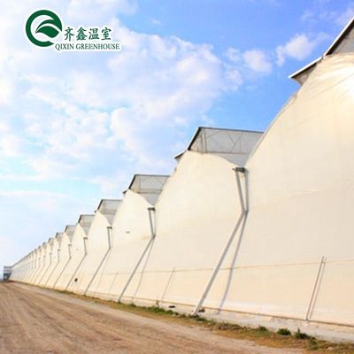 Estufa de túnel único coberta por filme comercial para maximizar a produção agrícola