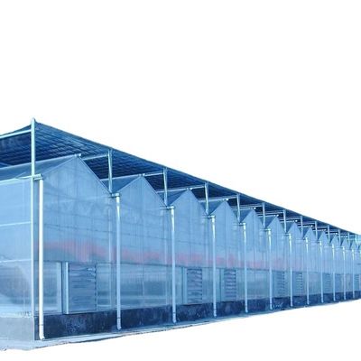 3.8m-9.8m Ridge Height Glass Solar Greenhouse para os requisitos do cliente