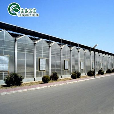 Estufas transparentes em túnel de polietileno para o cultivo de vegetais