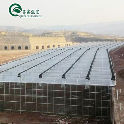 Estufas transparentes em túnel de polietileno para o cultivo de vegetais