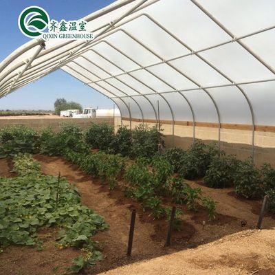 Vegetais Frutas Flores Cogumelos Casa para o cultivo ecológico