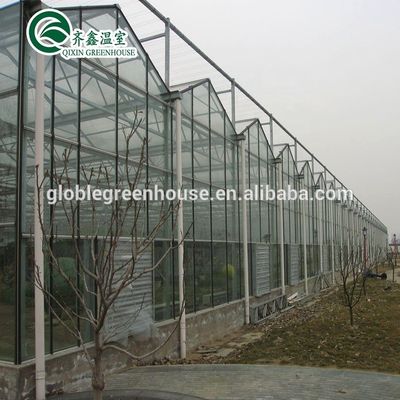 Vegetais Frutas Flores Tomates Estufa com sistema de sombreamento interior e exterior
