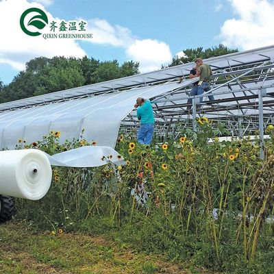 Vegetais Frutas Flores Cogumelos Casa para o cultivo ecológico