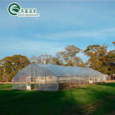 Vegetais Frutas Flores Cogumelos Casa para o cultivo ecológico