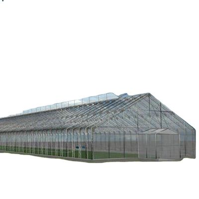 Vegetais Frutas Flores Cogumelos Casa para o cultivo ecológico