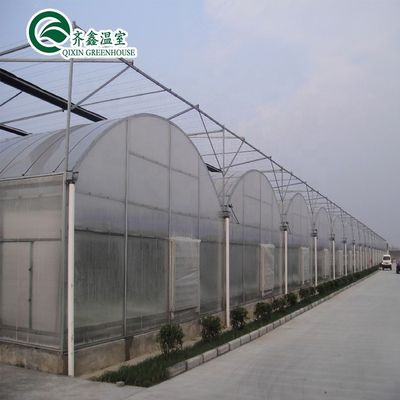Material de cobertura de folha PC Estufa agrícola multi-espaço para o cultivo de vegetais