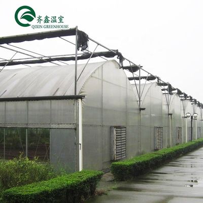 Material de cobertura de folha PC Estufa agrícola multi-espaço para o cultivo de vegetais