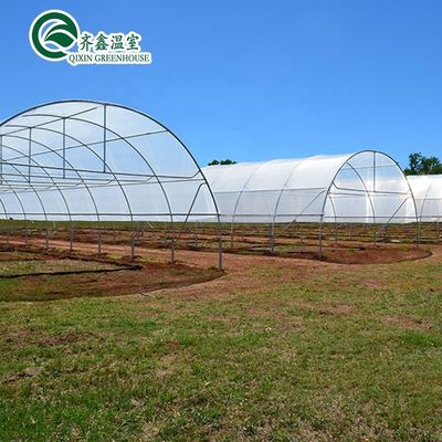 Estrutura de aço de alumínio galvanizado a quente Estufa de arrefecimento para cultivo de alface