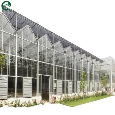 Uma boa permeabilidade à luz é essencial para as estufas de vidro Venlo na indústria agrícola