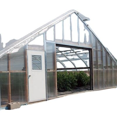 Equipamento de cultivo de cogumelos de estufa com um único comprimento coberto por uma película de plástico transparente