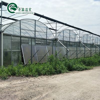 Aumentar a colheita de batatas Tubos grandes de plástico Estufas agrícolas de vários períodos