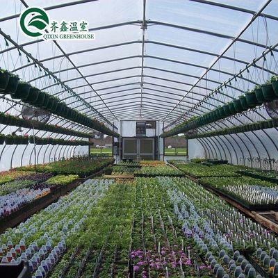 Equipamento de cultivo de cogumelos de estufa com um único comprimento coberto por uma película de plástico transparente