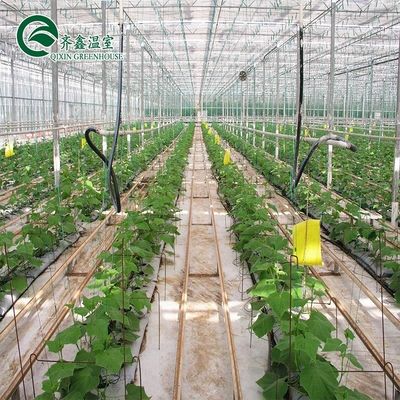 Capa de filme Sistema de Kit de cultivo hidropônico de camada dupla para estufa