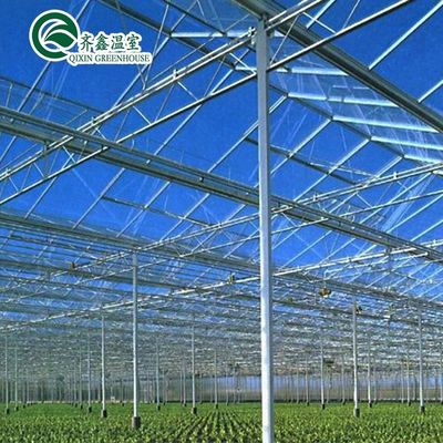 Uma boa permeabilidade à luz é essencial para as estufas de vidro Venlo na indústria agrícola