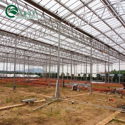 Uma boa permeabilidade à luz é essencial para as estufas de vidro Venlo na indústria agrícola