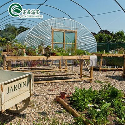 Equipamento de cultivo de cogumelos de estufa com um único comprimento coberto por uma película de plástico transparente