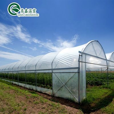 Estufas de jardim pequenas com camada dupla e caixa de controle automática