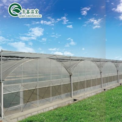 Sistema de cultivo hidropónico aquapônico de estufa com opções de arrefecimento e ventilação