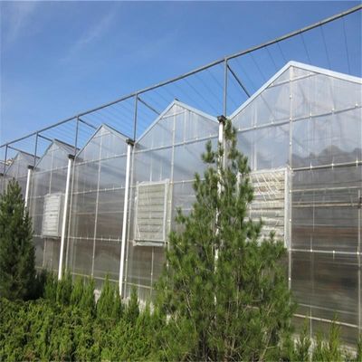 Grande estufa de vidro Venlo perfeita para as necessidades de crescimento das plantas