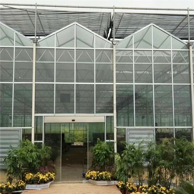 Grande estufa de vidro Venlo perfeita para as necessidades de crescimento das plantas
