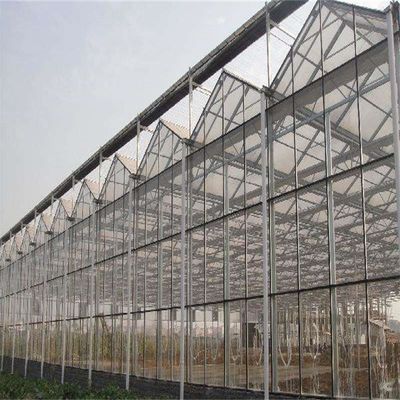 Grande estufa de vidro Venlo perfeita para as necessidades de crescimento das plantas