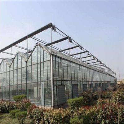 Grande estufa de vidro Venlo perfeita para as necessidades de crescimento das plantas