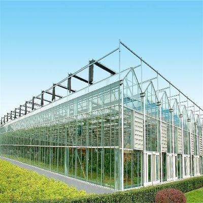 Grande estufa de vidro Venlo perfeita para as necessidades de crescimento das plantas