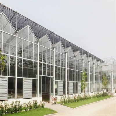 Grande estufa de vidro Venlo perfeita para as necessidades de crescimento das plantas