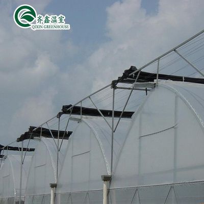 Estufa agrícola da Coreia do Sul com banco de rolamento de fluxo de refluxo e sistema de sombreamento interno