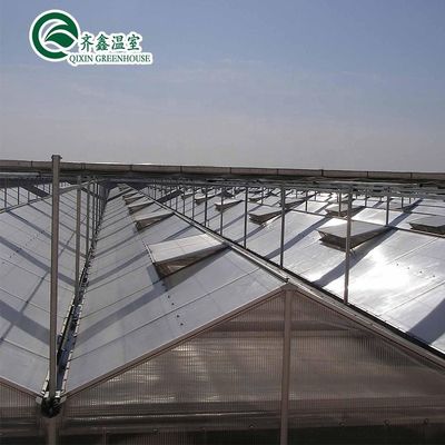 3.8m-9.8m Ridge Height Glass Solar Greenhouse para os requisitos do cliente