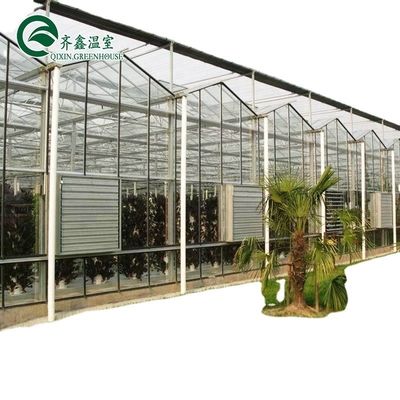 3.8m-9.8m Ridge Height Glass Solar Greenhouse para os requisitos do cliente