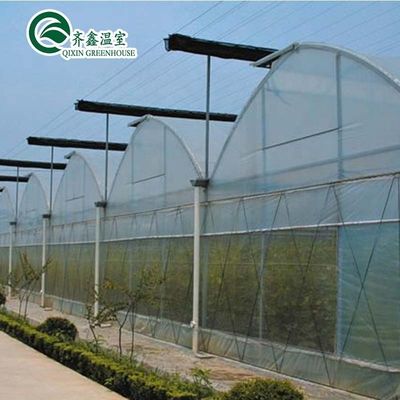 Sacos de cultivo de PE e sistema de controlo automático ideais para estufas agrícolas da Coreia do Sul