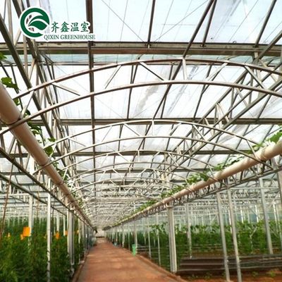 Sacos de cultivo de PE e sistema de controlo automático ideais para estufas agrícolas da Coreia do Sul