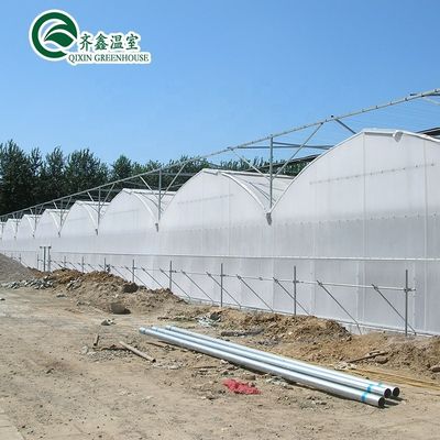 Sacos de cultivo de PE e sistema de controlo automático ideais para estufas agrícolas da Coreia do Sul