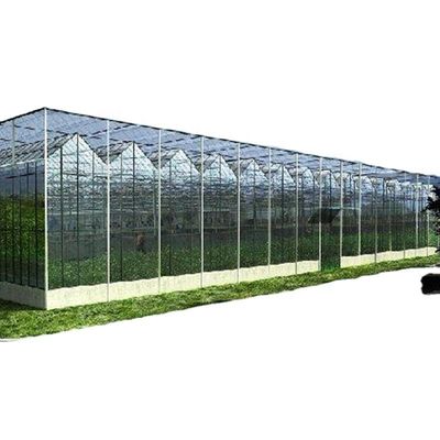 Túnel de jardim de estufa do Canadá personalizado com vidro ou folha de PC
