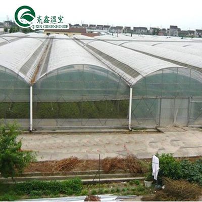 Estufas poli-túnel revestidas com película de plástico com sistema hidropónico e ventilação