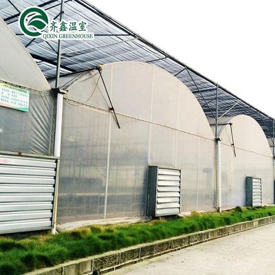 Estufas poli-túnel revestidas com película de plástico com sistema hidropónico e ventilação